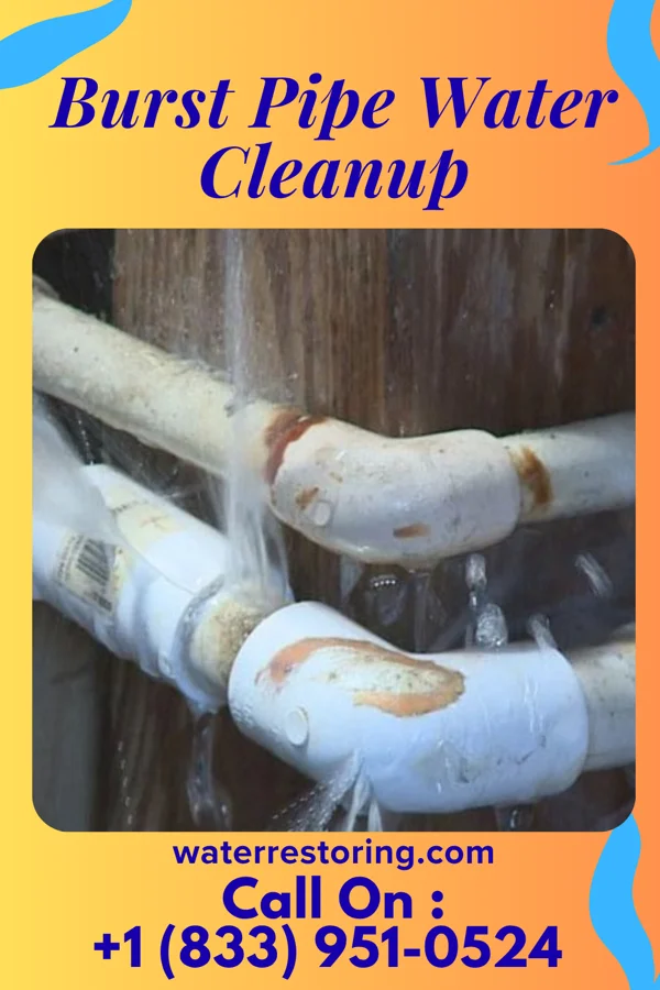 Burst Pipe Water Cleanup in Northvale, NJ
