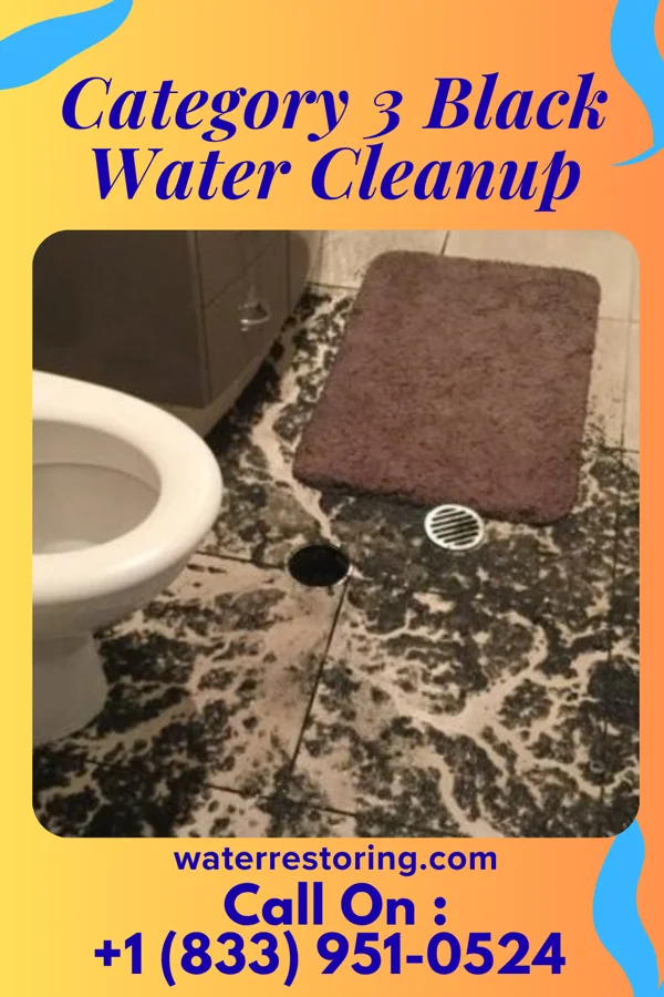 Category 3 Black Water Cleanup in Northvale, NJ