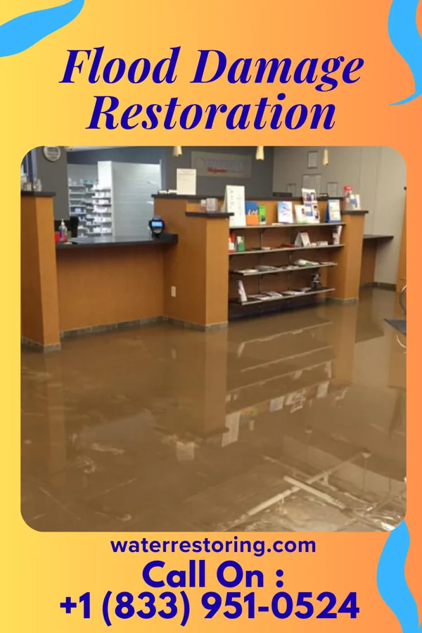 Flood Damage Restoration in Northvale, NJ
