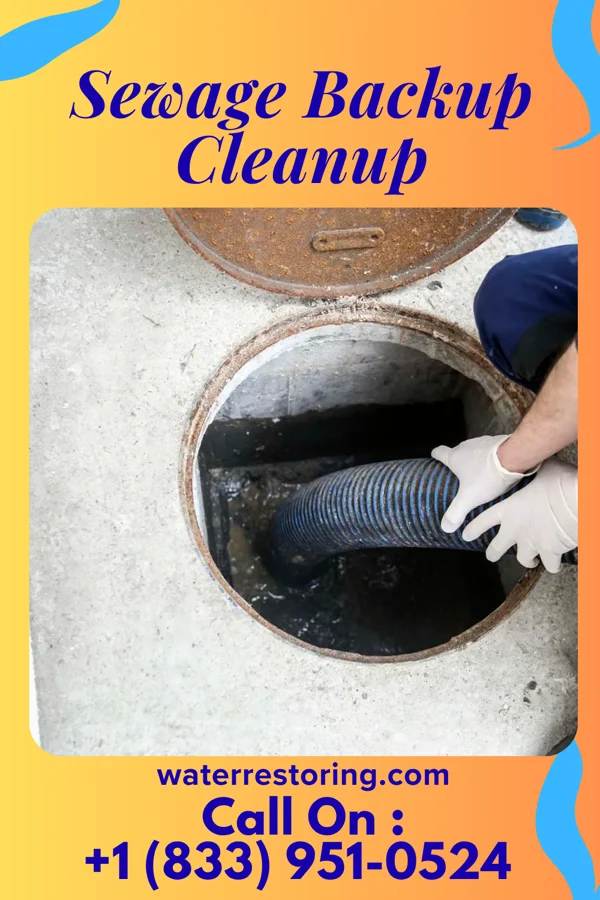 Sewage Backup Cleanup in Northvale, NJ
